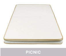 Picnic