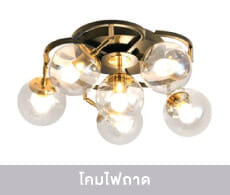 Ceiling Trays