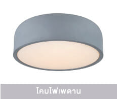 Ceiling Lamps