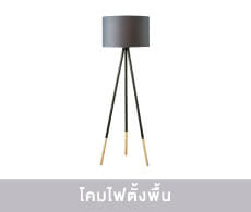 Floor Lamps