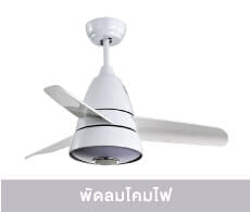 Ceiling Fans