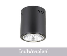 Downlight Lamps