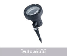 Garden Decor Lamps