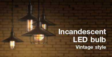 INCANDESCENT LIGHT BULBS