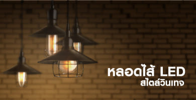 INCANDESCENT LIGHT BULBS