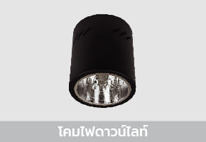 Downlight Lamps