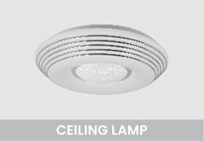 Ceiling Lamps