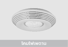 Ceiling Lamps