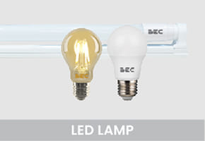 LED Bulbs