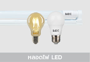 LED Bulbs