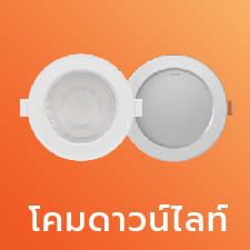 DOWNLIGHT
