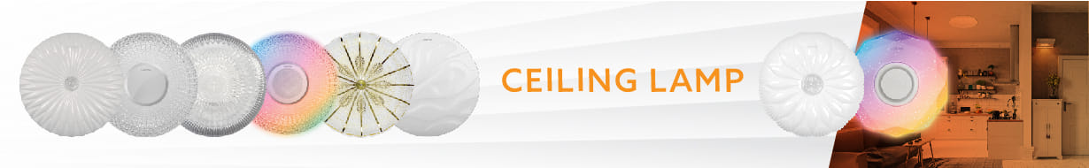 CEILING LAMPS
