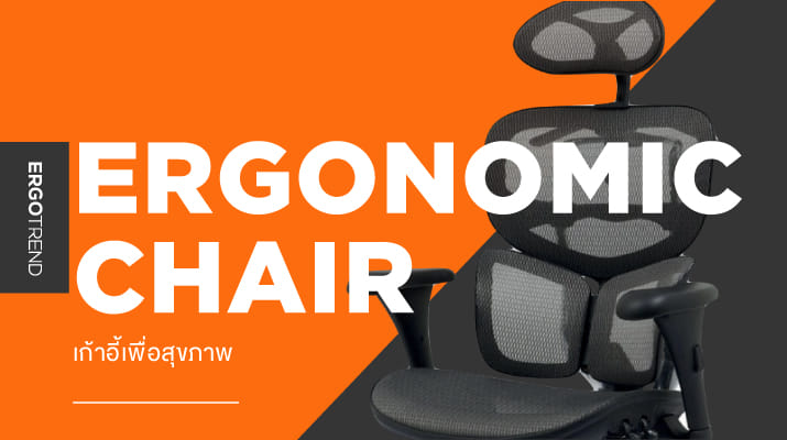ERGONOMIC OFFICE CHAIR