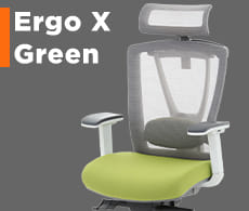 ERGO-X GREEN 