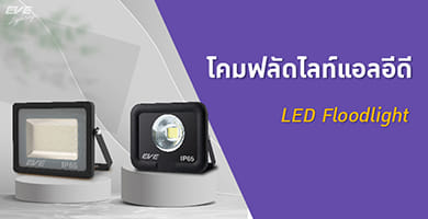 LED Outdoor Spotlights