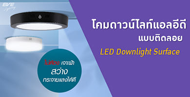 Downlight Surface