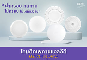 Ceiling Lamps
