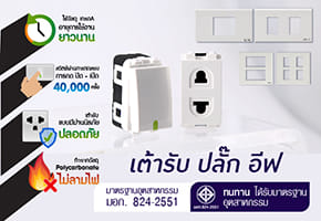 Socket & Switch