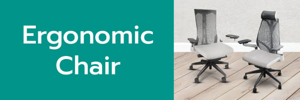 Ergonomic Chair
