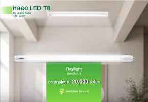 NAGAS T8 ECO