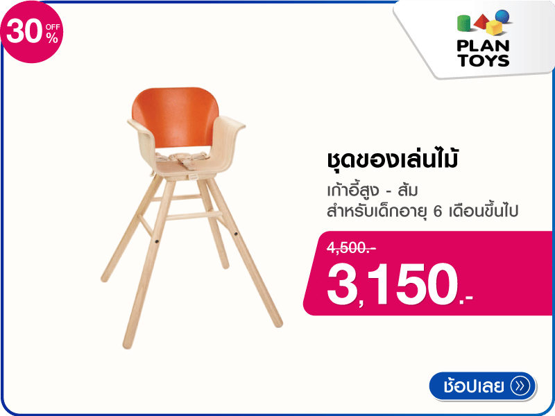 ชุดของเล่นไม้ PLANTOYS