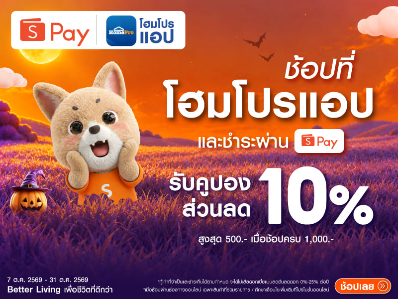 Spaylater x homepro