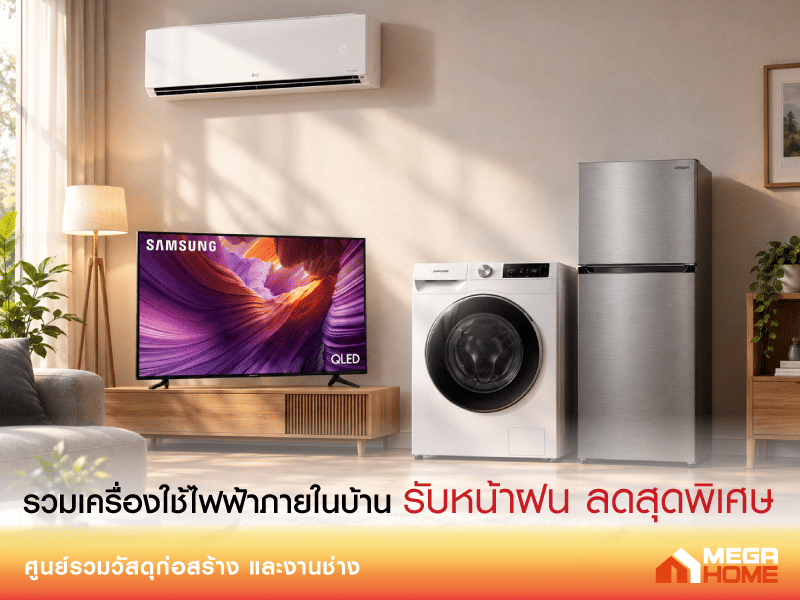 เครื่องใช้ไฟฟ้าขนาดเล็ก