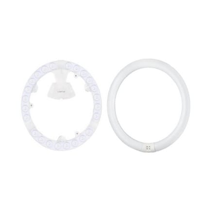 cate-Circular Bulbs