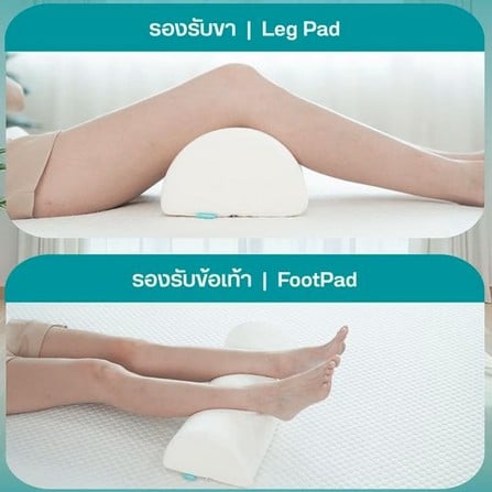 cate-Leg Cushions