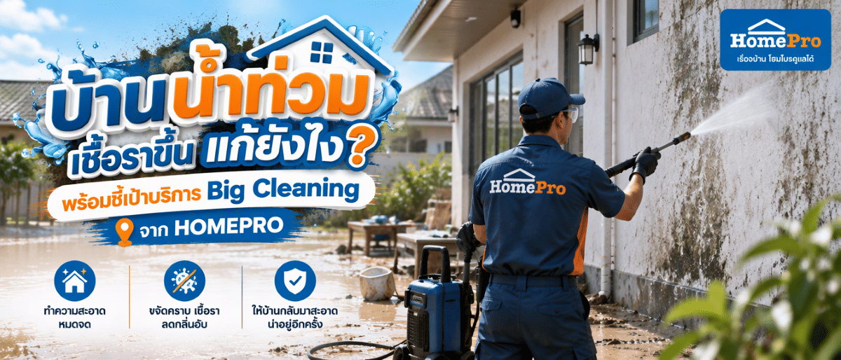 บ้านน้ำท่วม เชื้อราขึ้น แก้ยังไง? พร้อมชี้เป้าบริการ Big Cleaning จาก HOMEPRO