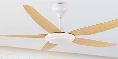 Ceiling Fan Installation