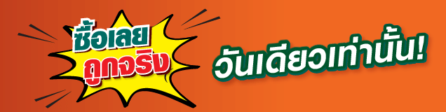 flashsale