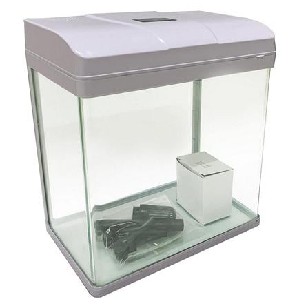 cate-Aquarium